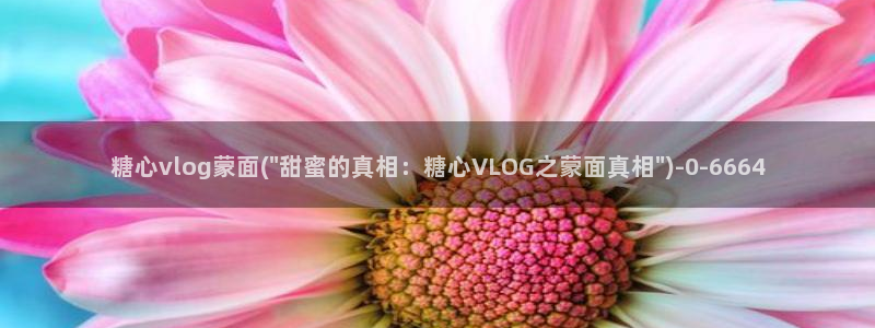 糖心vlog合集资源
