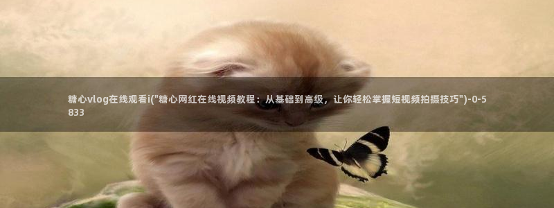 糖心vlog橘猫视频