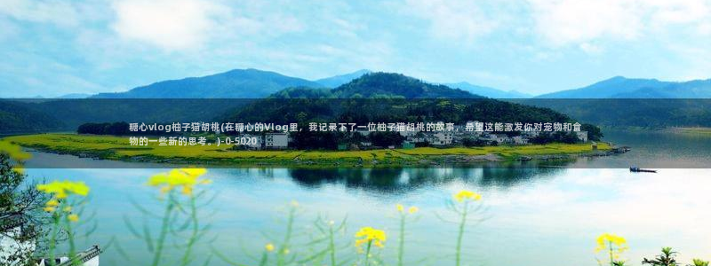 黄糖心vlog污网站