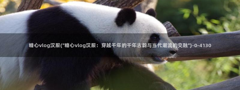 糖心vlog小桃 路人