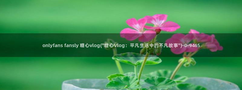 心糖vlog官网：onlyfans fansly