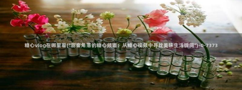 心糖vlog谁最好看：糖心vlog在哪里看(\