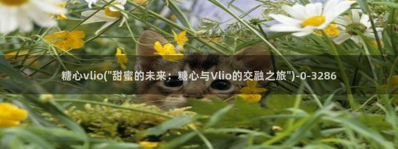 糖心 vlog 入口：糖心vlio(\