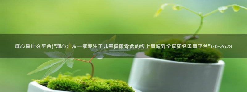 糖心vlog官网入口