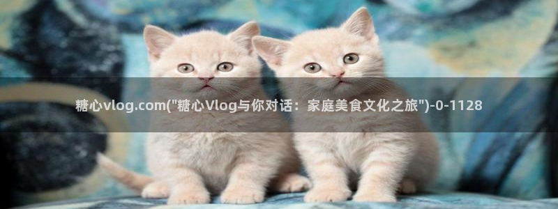 糖心vlog日常