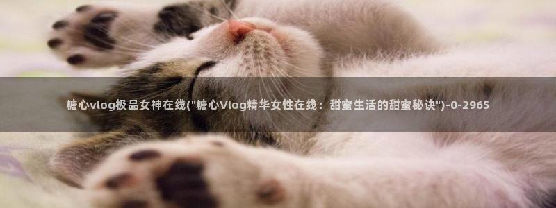 心糖vlog视频在线观看