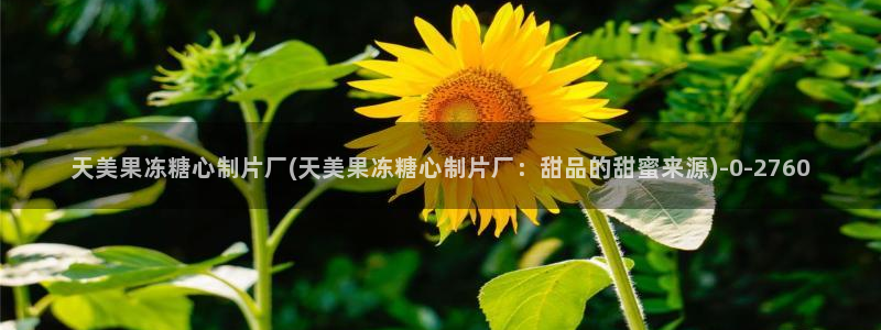 91麻豆糖心vlog出品淑怡