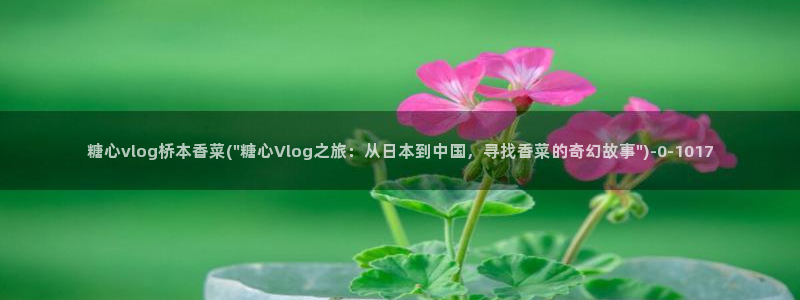 糖心vlog精产