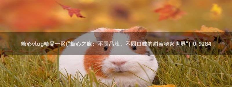 糖心vlog免费版官网