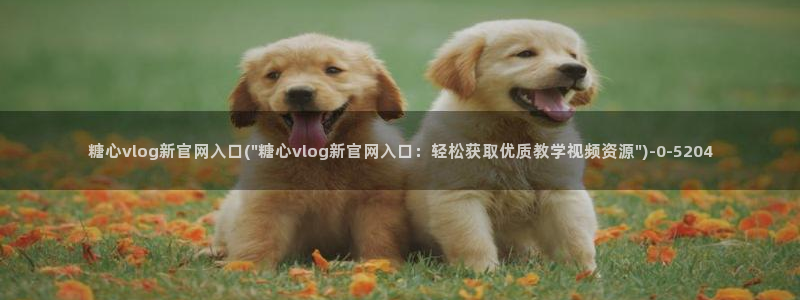 糖心vlog最新