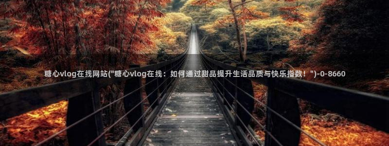 心糖vlog在线免费播放